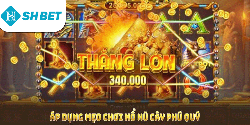 Áp dụng mẹo chơi nổ hũ cây phú quý SHBET tăng cơ hội thắng