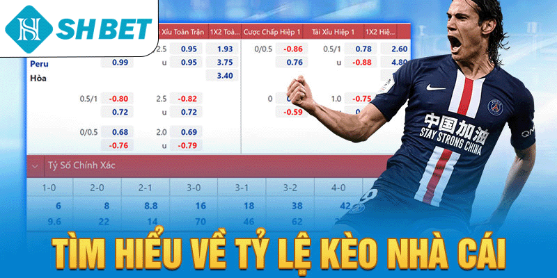 Tìm hiểu về tỷ lệ kèo nhà cái